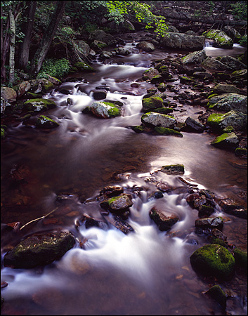 Little Stoney Creek No. 1, Jefferson National Forest, VA
